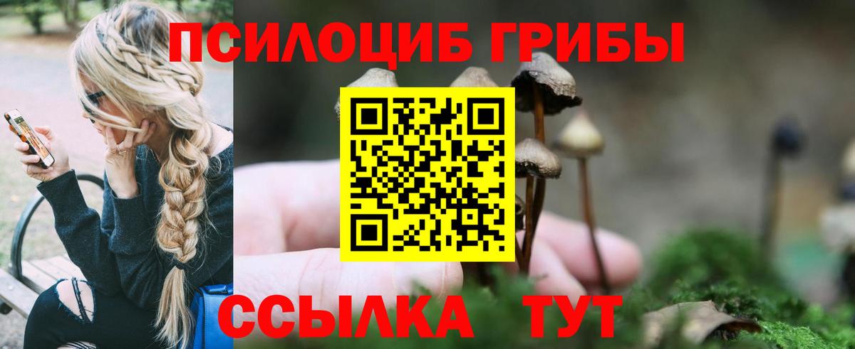 Псилоцибиновые грибы Psilocybine cubensis Сибай